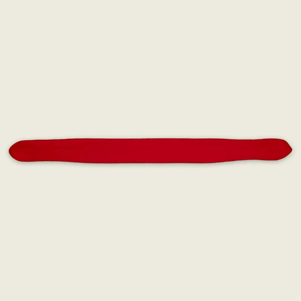 Bold Cherry Red Design Mockup 3.webp